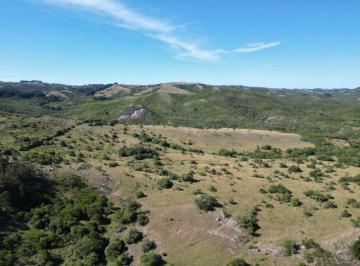 Campo · 26ha · Campo en Venta. Zona Pueblo Edén