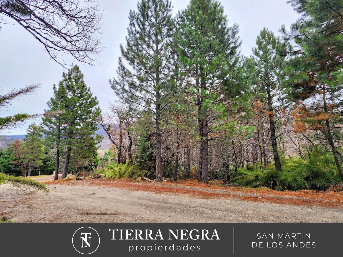Piedra de San Francisco - Lote B29, San Martín de los Andes, Neuquén