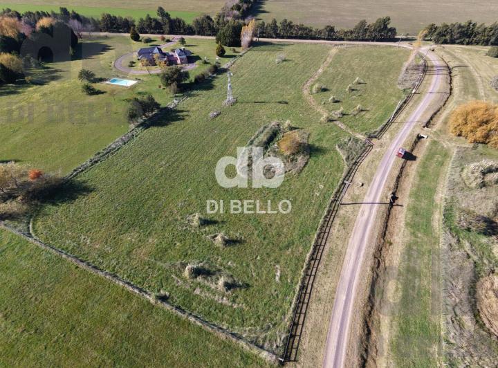 Bóveda, nicho o parcela · 16116m²