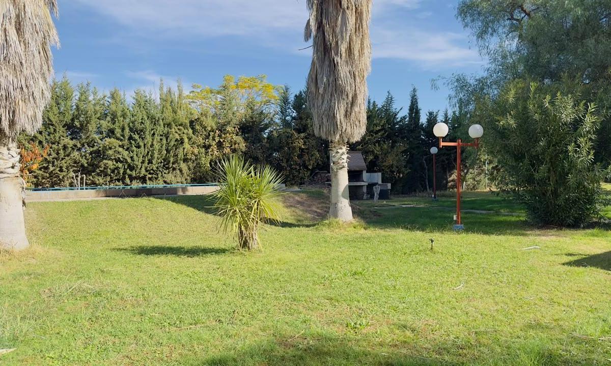 Ruta Provincial 14, km 11,5 Callejon Furlotti, Maipú, Mendoza