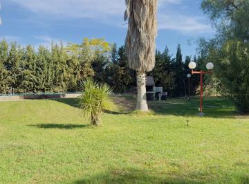 Campo · 620000ha · Finca Productiva de 62 Ha en Venta - Excelente Ubicación. Barrancas, Maipú