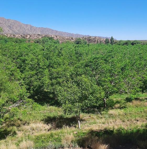 Ruta Nacional 40,  Tuyubil, La Rioja
