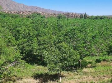 Quinta vacacional de 6 ambientes, Tuyubil · Finca de Nogales, con Dos Casas, Una P/caseros y Otra Dueños