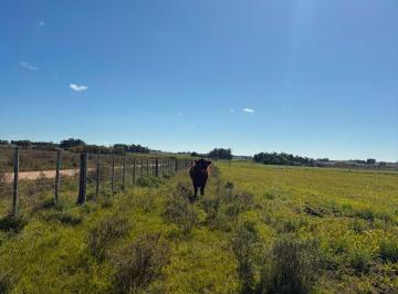 Campo · 5ha · Venta Chacra 5 Has San Jacinto, Canelones