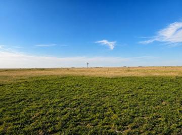 Campo · 1800000ha · Campo en Ranchos