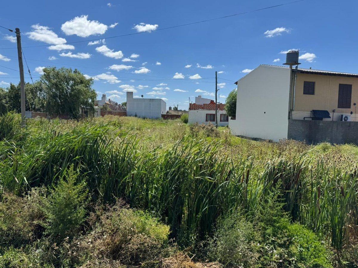 25 E/ 161 Norte y 162 S/N,  Berisso, Berisso