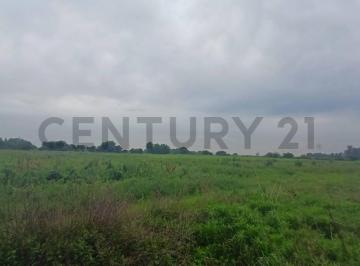Campo · 8m² · Venta Campo 8,5 Ha | Escobar | Gran Potencial Productivo