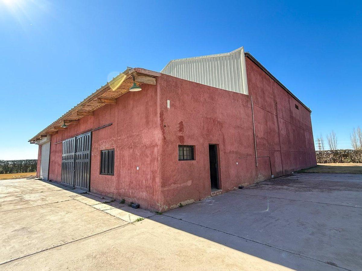 Calle Desconocida S/N, Los Barriales, Mendoza