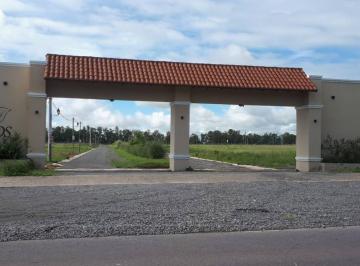 Terreno · 600m² · Terreno en Retoños de Colon