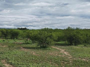 Terreno · 20ha · Terreno de 20 Ha en El Galpón - Salta