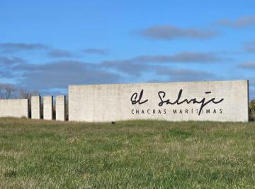 Terreno · 2500m² · Lote en Venta en El Salvaje - Chacras Maritimas Ruta 11