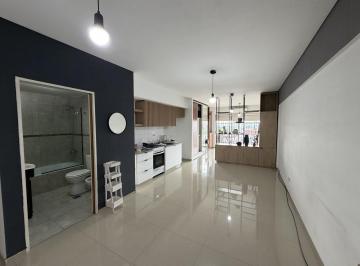 Departamento · 42m² · 1 Ambiente · Departamento Monoambiente Amplio. 47 m². Muy Luminoso. C/ Amenities.