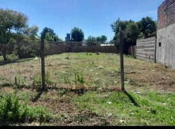Terreno , Concordia · Terreno Gigante