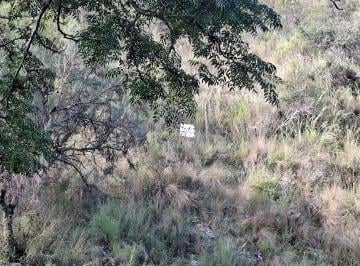 Terreno , Cuesta Blanca · Una Hectárea en Cuesta Blanca