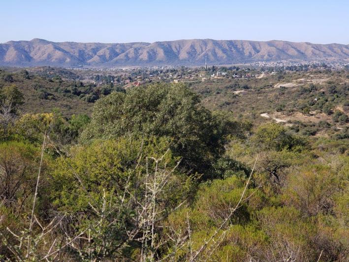Terreno · 10000m²