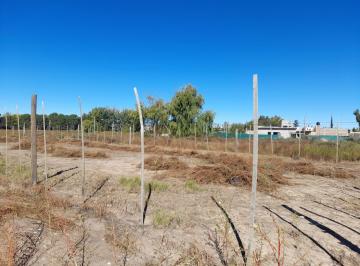 Terreno · 604m² · Lote en Venta de 600 m² en Centro, Tunuyán