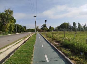 Terreno · 240m² · Lotes en Venta de 240 m² en Centro, Tunuyán