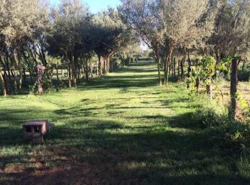 Terreno en Venta   · Lote en Banda Florida (La Rioja)