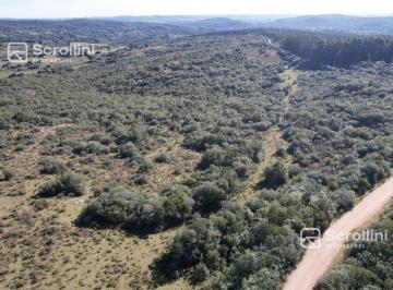 Campo · 50000ha · Chacra en Aiguá