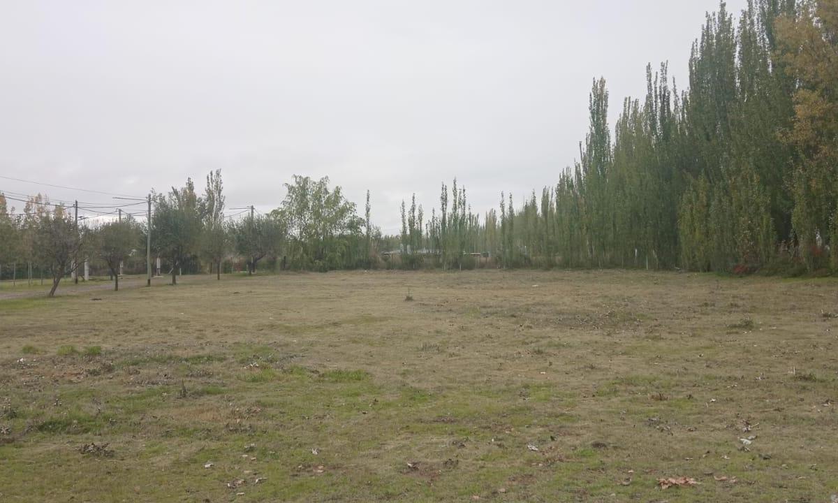 Carril Nacional, San Carlos, Mendoza
