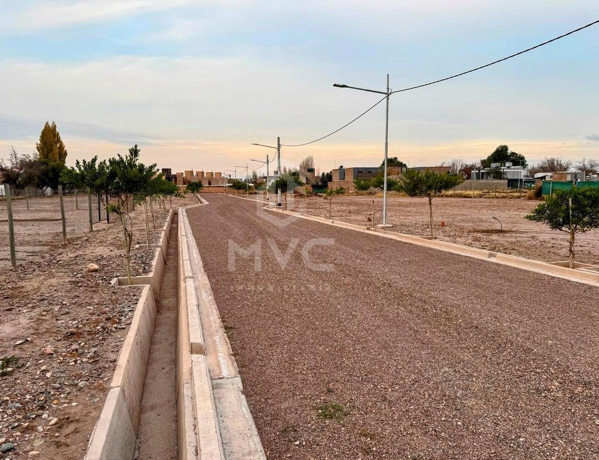Av. Guevara s/n, Luján de Cuyo, Mendoza
