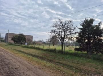 Terreno , Luis Palacios · Terreno Forestado 900 m²