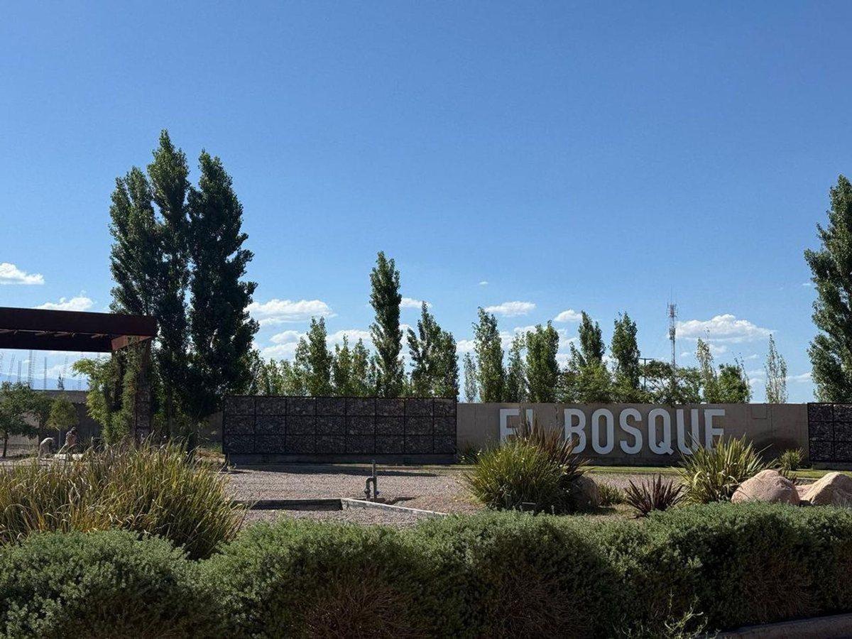 Don Bosco S/N, Rodeo del Medio, Mendoza
