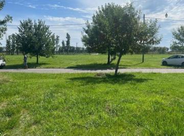 Terreno · 300ha · Terreno Granadero Baigorria