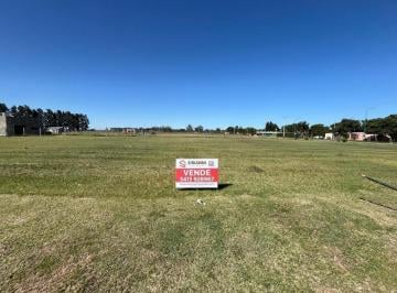 Terreno · 450ha · Terreno Financiamos Posesion Inmediata General Lagos