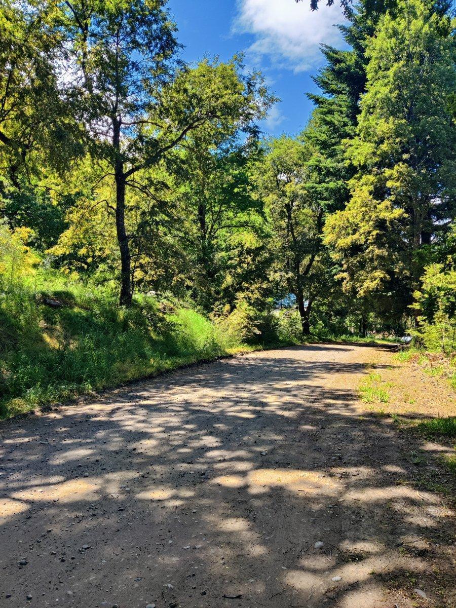lote 26, San Martín de los Andes, Neuquén