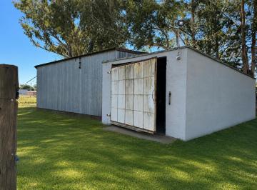Bodega-Galpón · 650m² · Galpón en Dorila