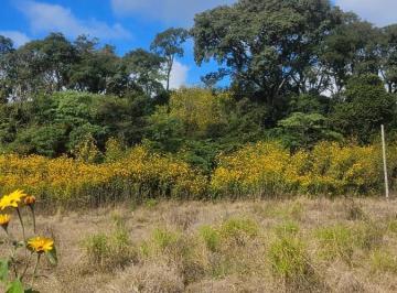 Terreno · 257m² · Terreno en Venta El Nogal | Los Alisos