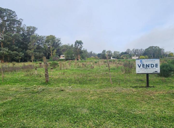 Terreno · 1291m²