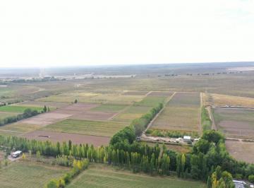 Campo · 200ha · Venta Finca Valle de Uco San Carlos Mendoza