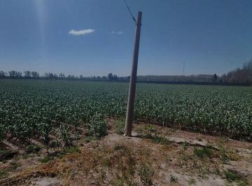 Campo · 5ha · Venta de Finca 5,2ha Perdriel, Lujan de Cuyo