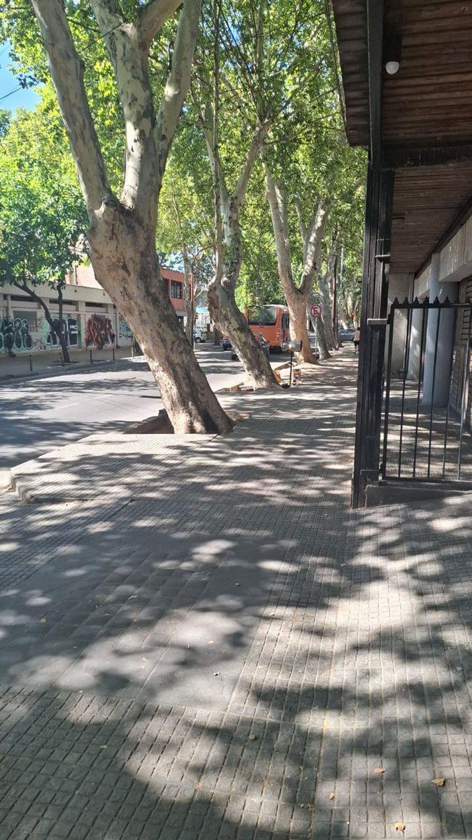 Rioja 1600,  Ciudad de Mendoza, Mendoza