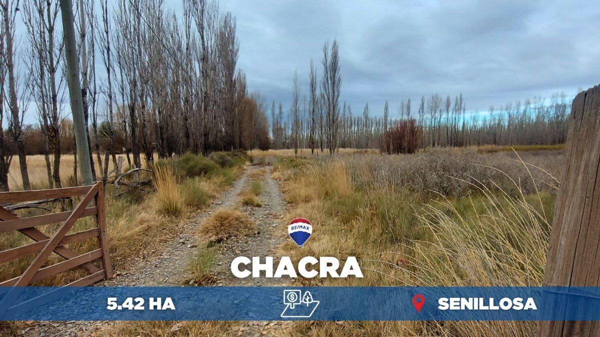Calle Desconocida  S/N,  Senillosa, Neuquén