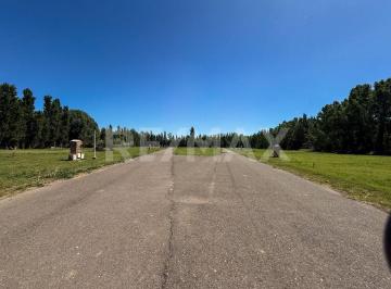 Terreno · 1002m² · Lote en Venta, Barrio Privado Quintas del Sur