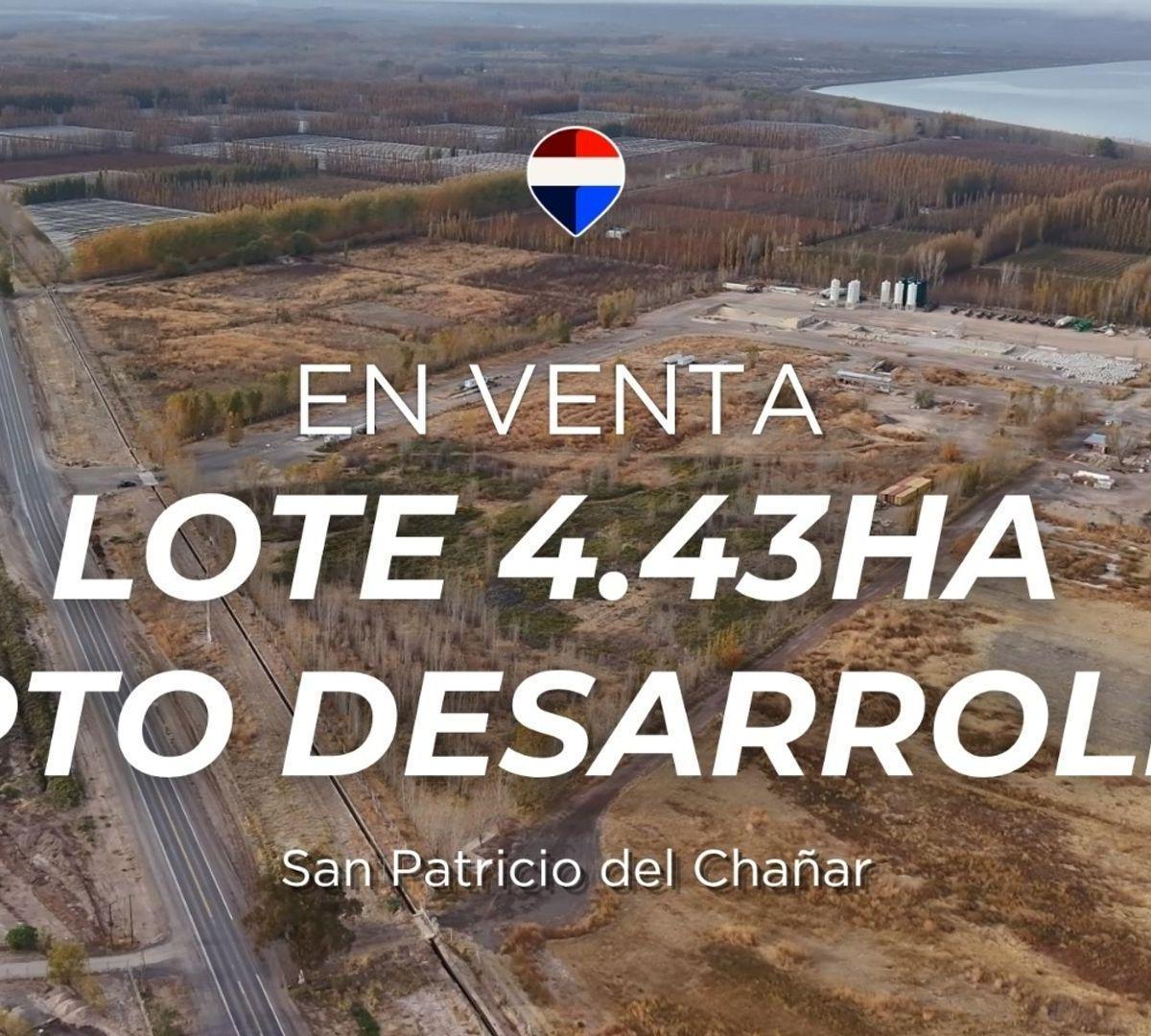 Ruta 7 S/N,  San Patricio del Chañar, Neuquén