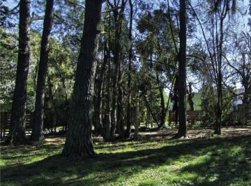 Terreno · 300m² · Lotes Excelente Oportunidad Para Invertir