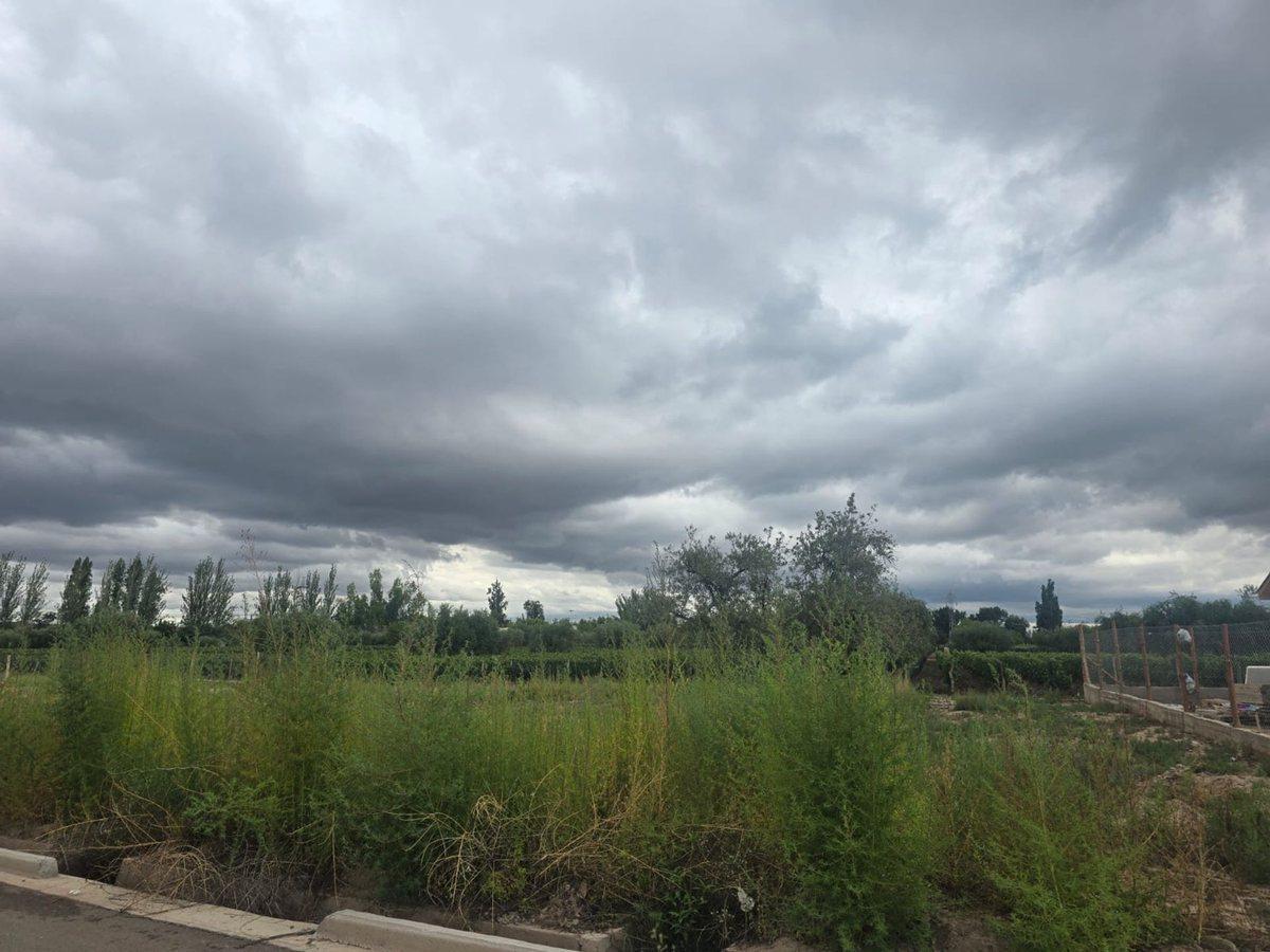Proyectada N°11 Lote 4 0, Vistalba, Mendoza