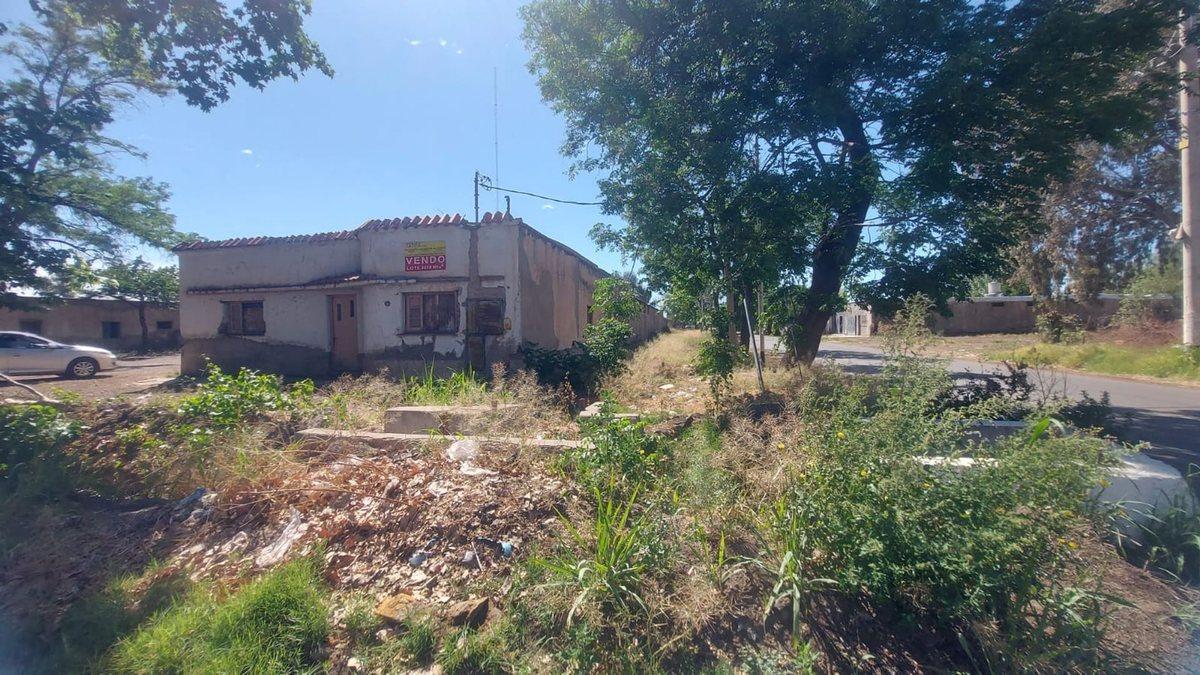Tropero Sosa 0,  San Martín, Mendoza