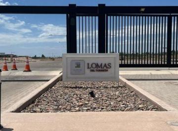 Terreno · 307m² · Venta Lote Maipu Mendoza Lomas del Torreon 2