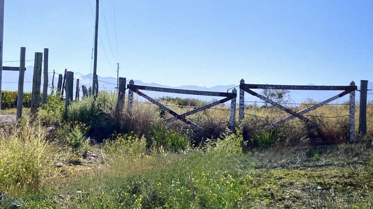 Ruta Provincial 89 S/N,  Tupungato, Mendoza