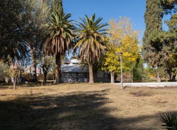 Casa de 7 ambientes, El Sauce · Casa Antigua Reciclada 6000 m² de Terreno en Venta en El Sauce