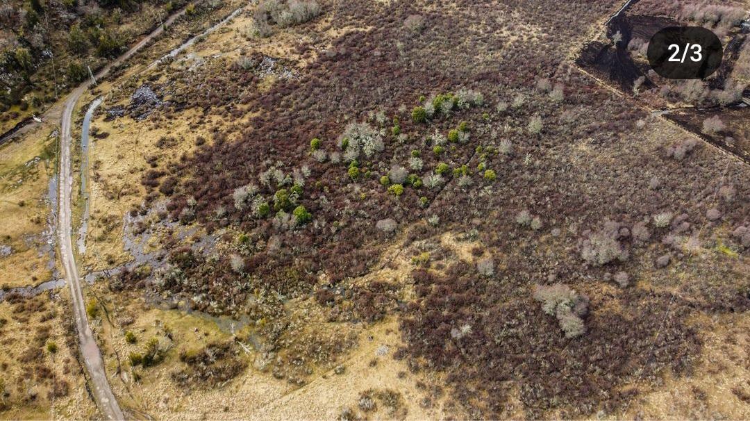 Ruta Nacional 40,  El Foyel, Río Negro