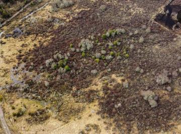 Terreno en Venta · Venta 2 Ha en El Foyel Rio Negro