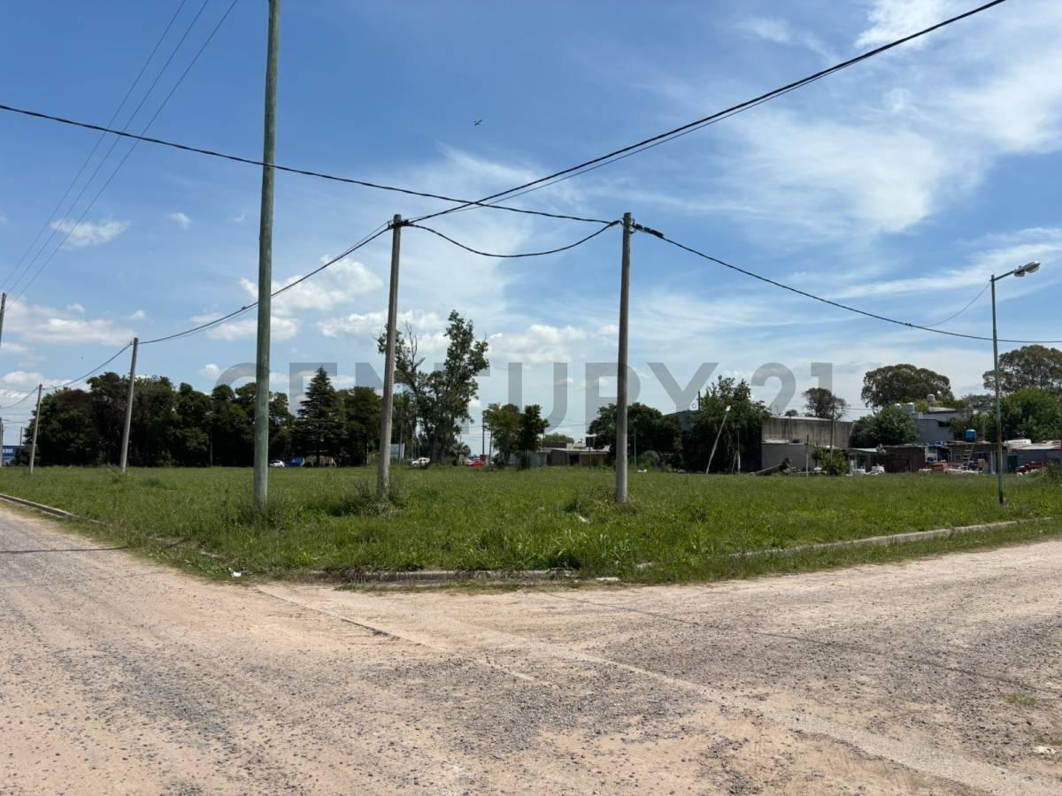 Calle 7 y 628,  Villa Elvira, La Plata