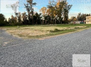 Terreno · 390m² · Terreno - Pilar
