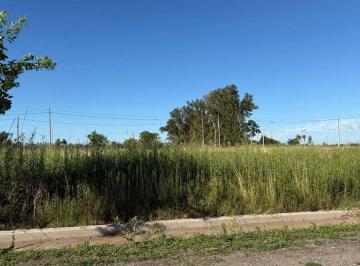 Terreno · 250m² · Se Vende Lote en Nuevo Italia 250 m²